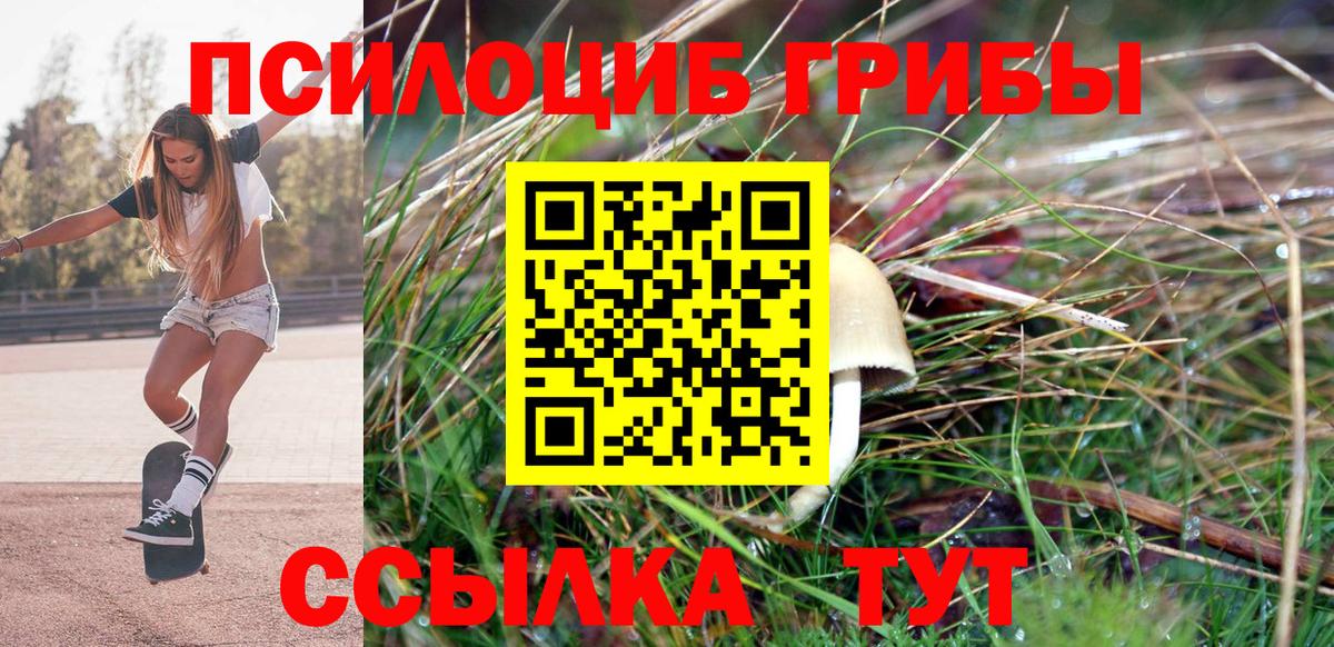 Электросталь  Галлюциногенные грибы Psilocybine cubensis  Вход с VPN 