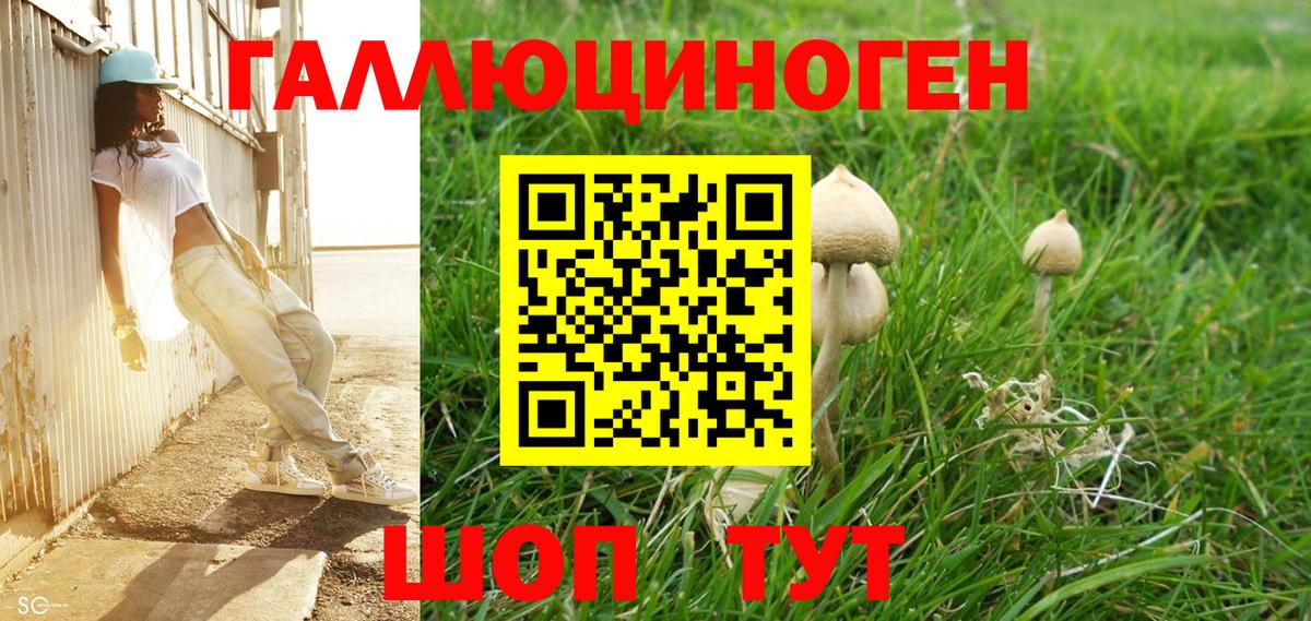 Галлюциногенные грибы Psilocybine cubensis Электросталь